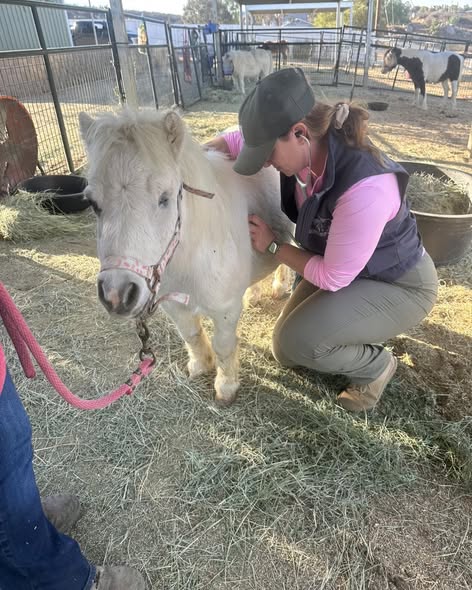 Office and company documents in the UK